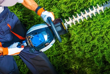 Mississauga Lawn Care