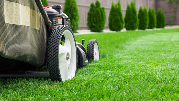 mowing the lawn toroz contracting landscaping Mississauga