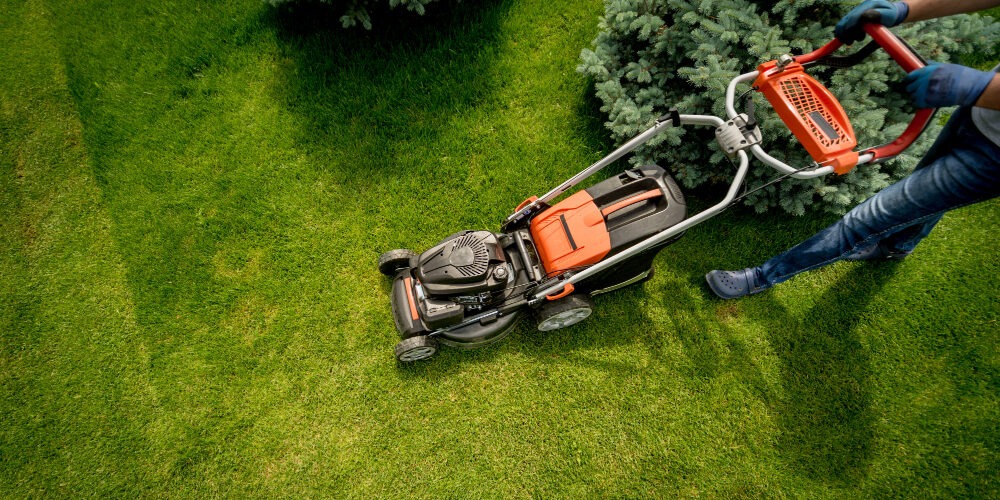Mowing Edging​ Milton lawn care