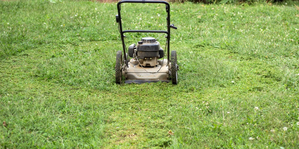 Mowing Edging​ Mississauga Lawn Care
