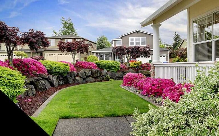 How can landscaping near me in Mississauga transform my property?