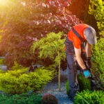 Landscaping Services Transformation Milton