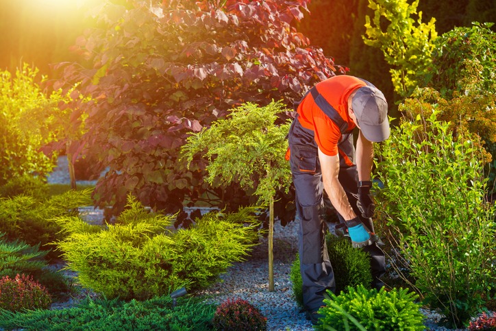 Landscaping Services Transformation Milton