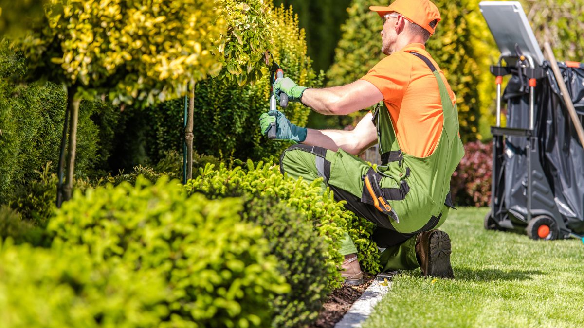 Landscaping Services Transformation Oakville